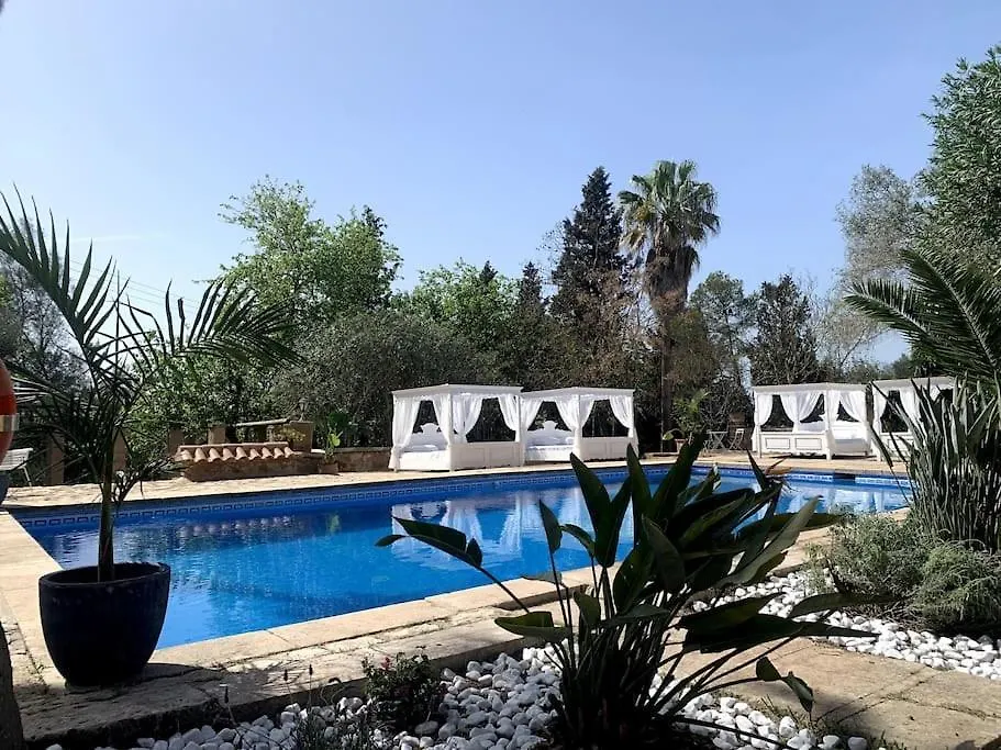 Apartmán Marilla 2,Design Und Stilvoll,Xxl Pool,Wifi, Klima Manacor   Manacor (Mallorca)